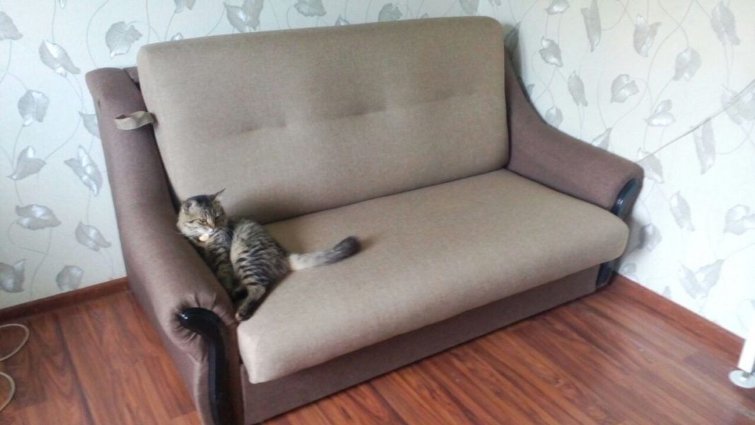 Перетяжка дивану тканиною "Жаккард": збережіть стиль та комфорт своїх меблів